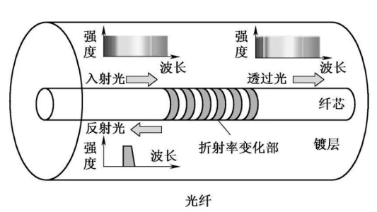 光纖損耗